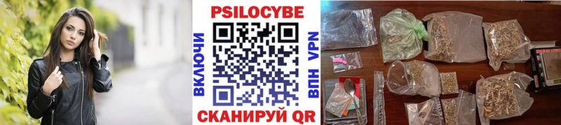 Псилоцибиновые грибы Psilocybe  сколько стоит  Карабаш 