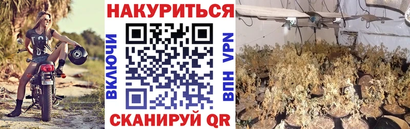Каннабис гибрид  Карабаш 